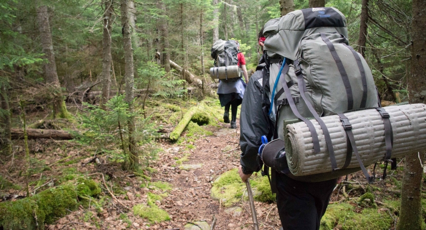 Backpackers hike along a trail through a wooded area